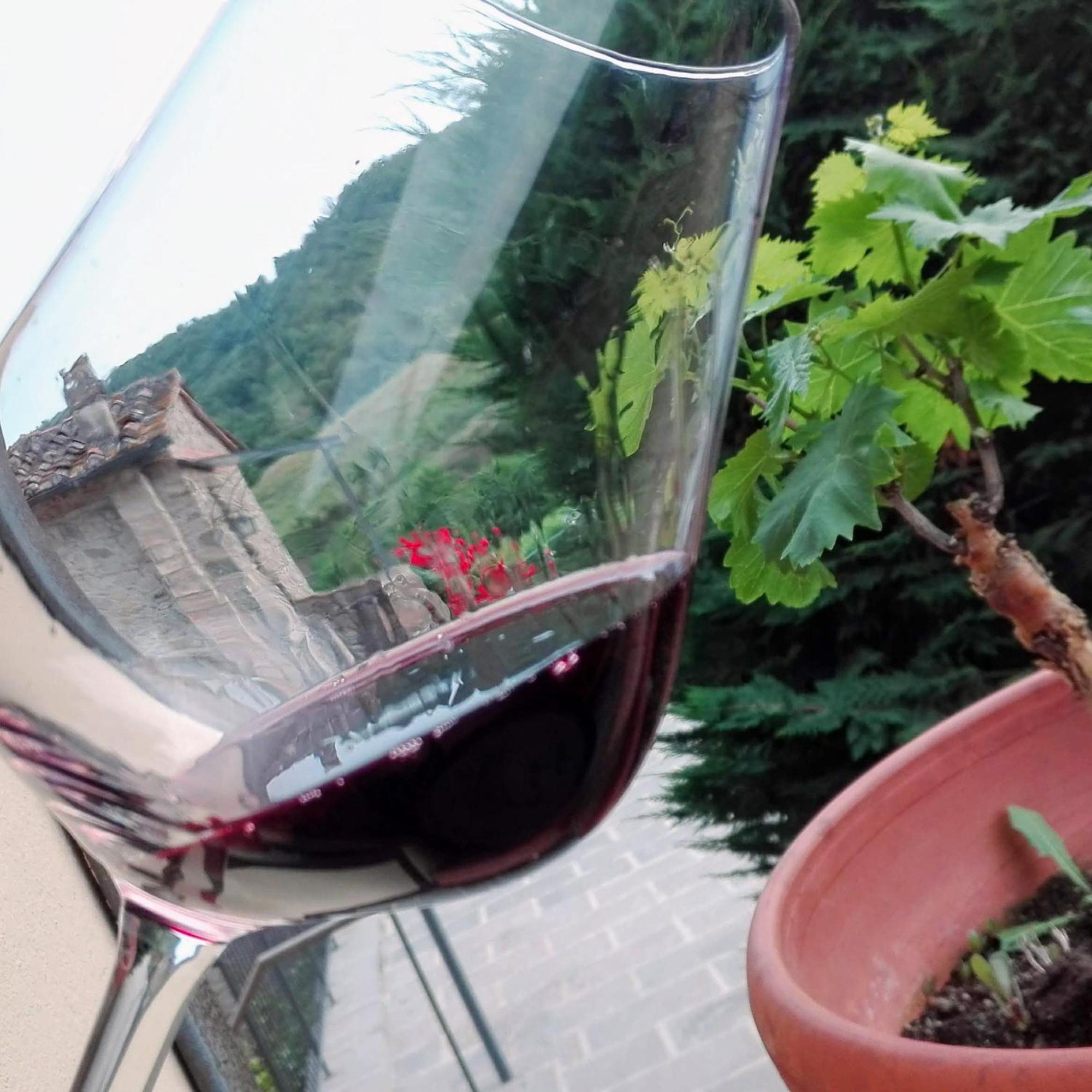 Villa Buonasera Agriturismo Greve in Chianti Exterior foto